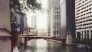The Chicago River